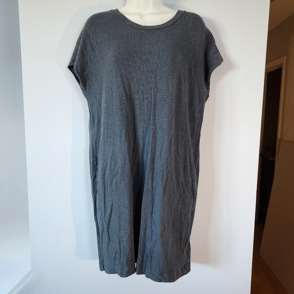 Aritzia Community Blue Metrocles Mini Shirt Dress